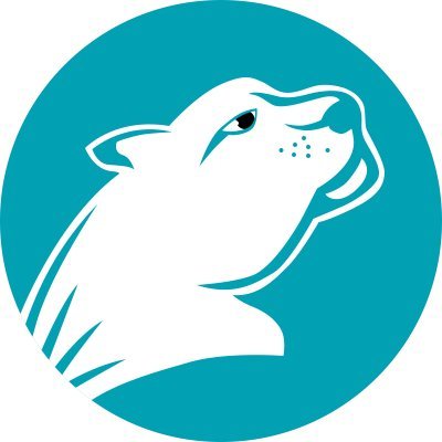 猎豹加速器(中国大陆)官方网站